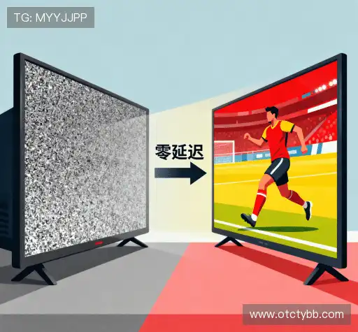 我们的风险管理